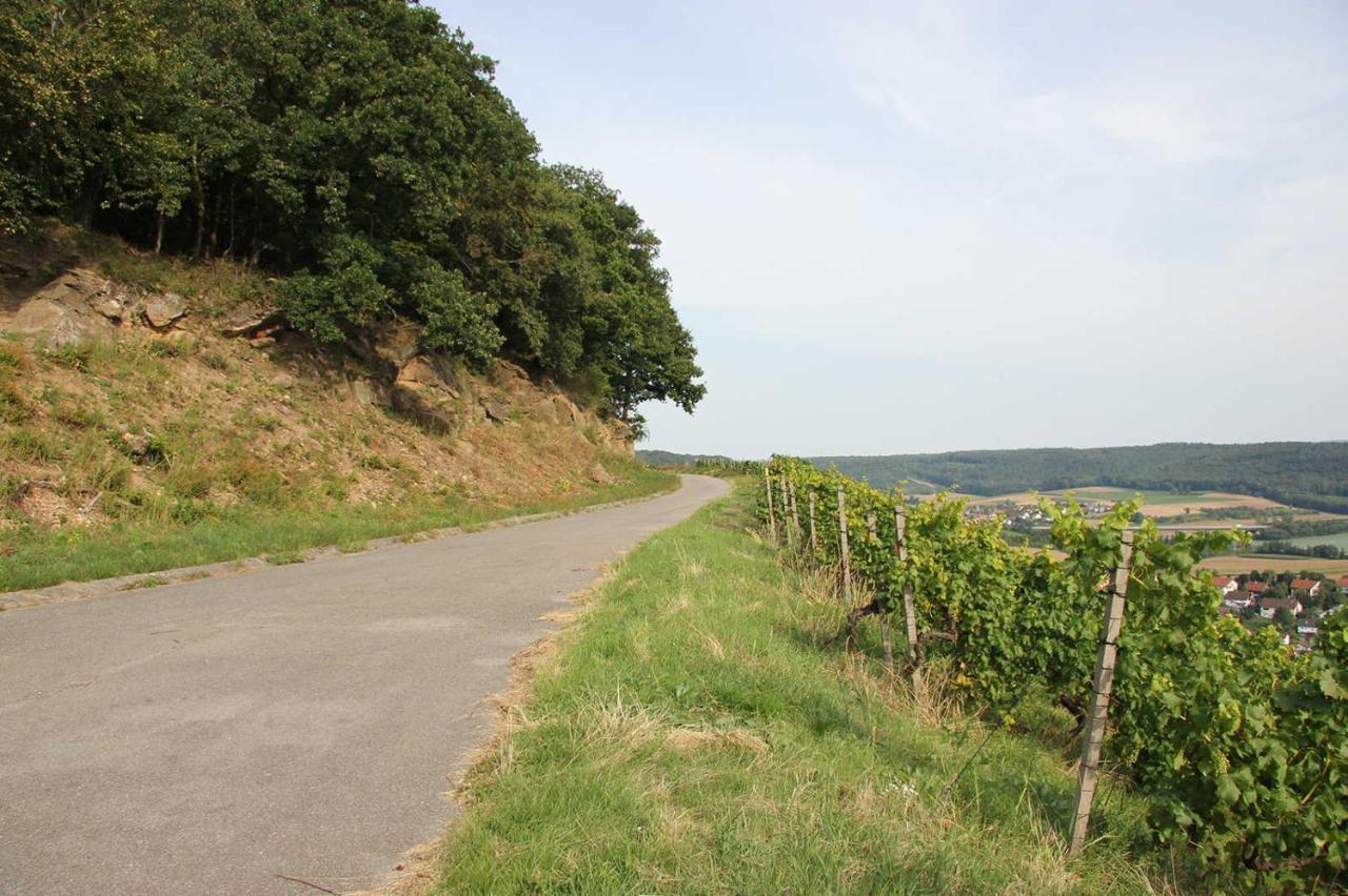 Weinlodge Am Geissberg Eberstadt Zewnętrze zdjęcie